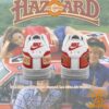 BEST The Dukes of Hazzard General Lee Nike Air Force Mesmerising